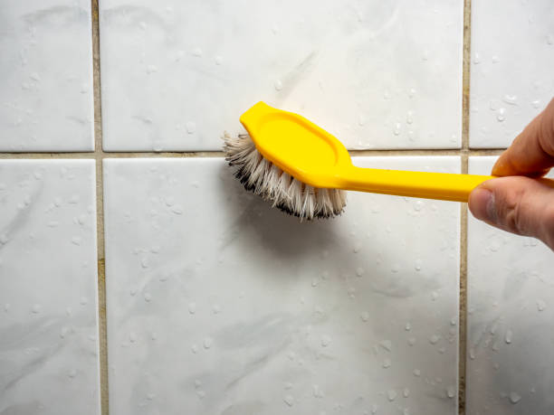 Best Bathroom Mold Remediation in Sharpsville, PA