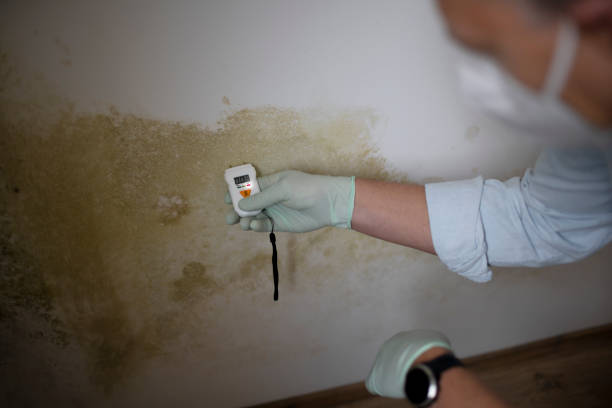 Best HVAC Mold Remediation in Sharpsville, PA
