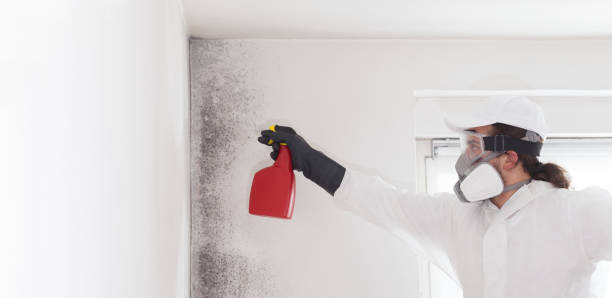 Best Commercial Mold Remediation in Sharpsville, PA
